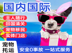 首都机场邮寄国际宠物托运 【国